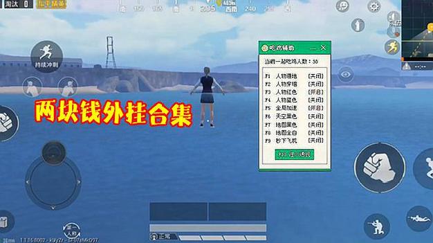 和平精英辅助【内部G简洁版】